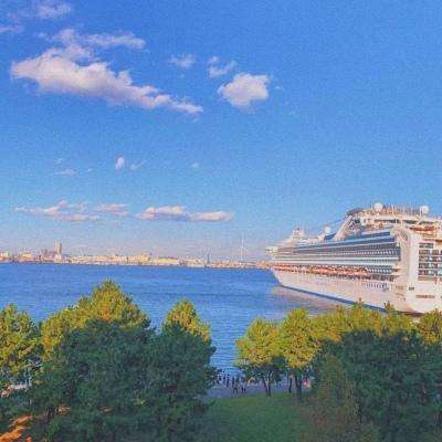 BOB体育APP官方下载