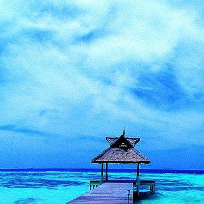 南宫ng28官方网站最新版截图