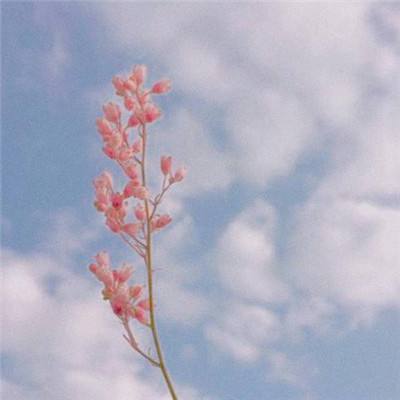 赢三张免费游戏手机app下载