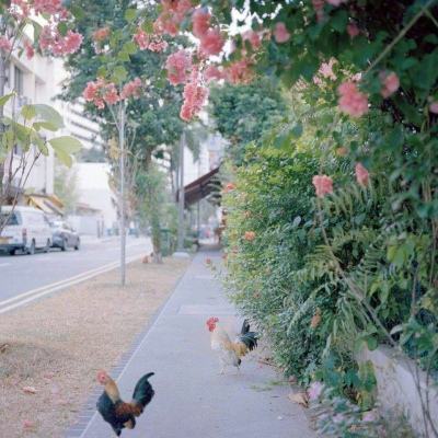 欧意交易平台下载