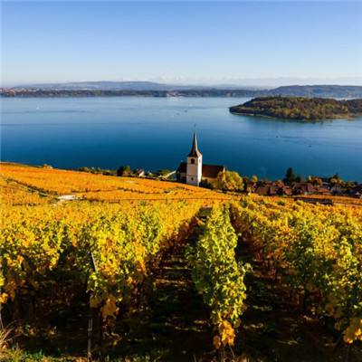 皇冠体育下裁截图