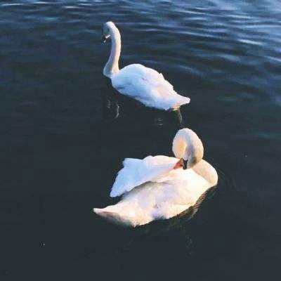 江南app下载手机版