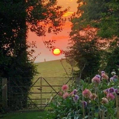 皇冠正规娱乐平台手机app下载