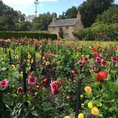 半岛网页版app下载