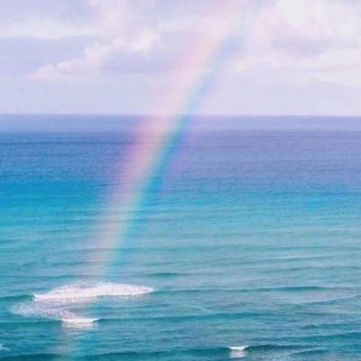 九州官网十年信誉玩家首选