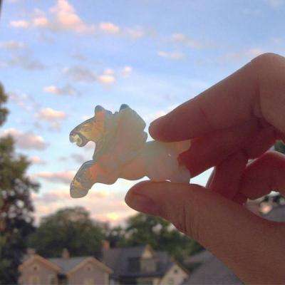 leyu·乐鱼中国体育官方网站