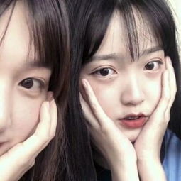 华体育下载手机版