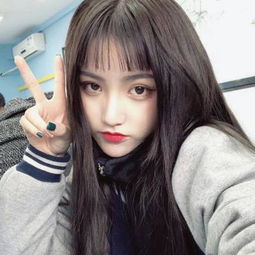 246天天好彩下载手机版