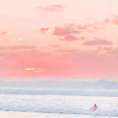 半岛综合官网App