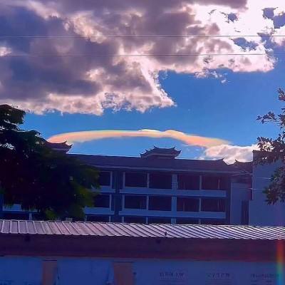 一肖三码手机app下载