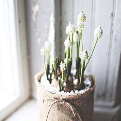 彩8官网入口·官方网站