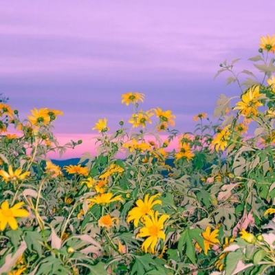 万博全站(ManBetX)app下载