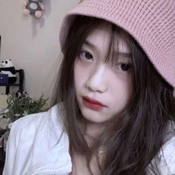 香港2023正版免费资料下载手机版