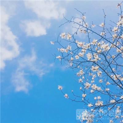 ku娱乐官网登录下载手机版