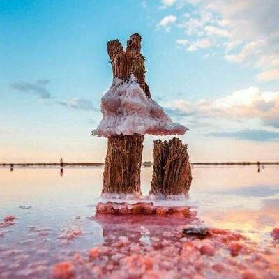 im电竞手机app下载