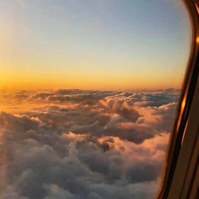 金年会最新官网下载截图