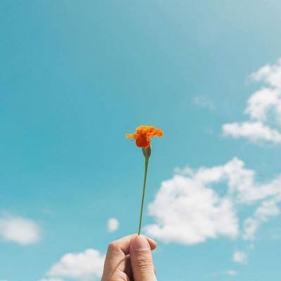 好运彩下载手机版