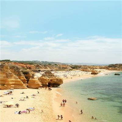 皇家88下载手机版截图