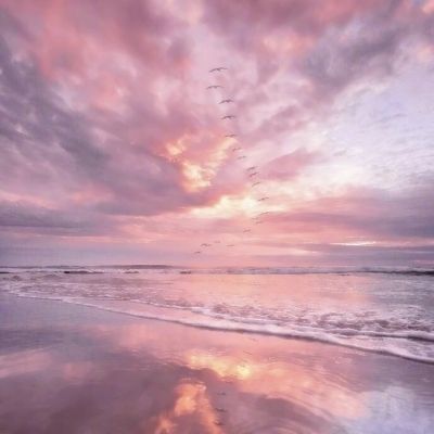 zoty中欧体育·(KOK)