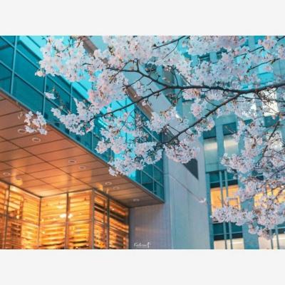 pg娱乐电子游戏官网app下载