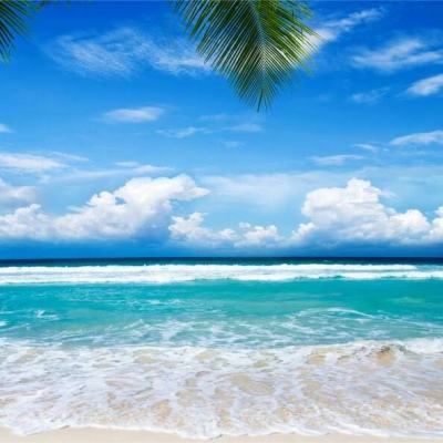 狗万manbet手机app下载