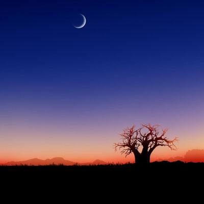 天博tb·体育综合手机app下载