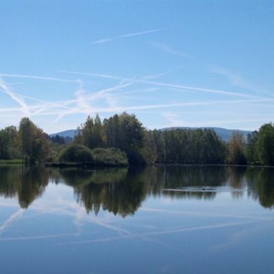 狗万官网手机app下载