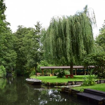 ag真人平台官方app下载