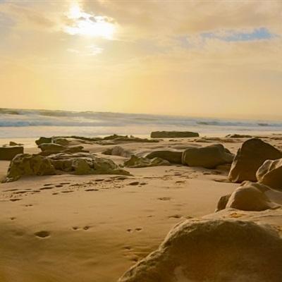 BO半岛综合app安全下载下载手机版