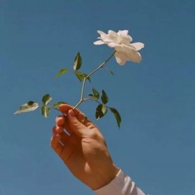 欢乐斗牛腾讯手机app下载