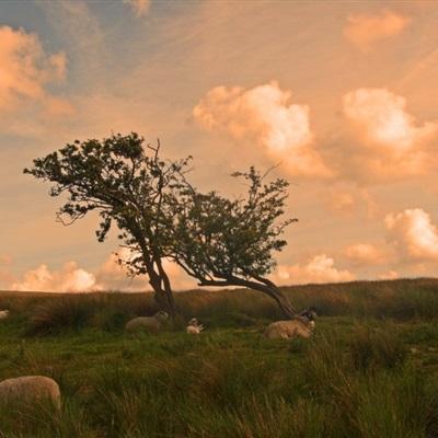 澳门黄金城手机app下载截图