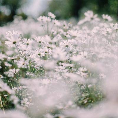 pg麻将胡了网站入口