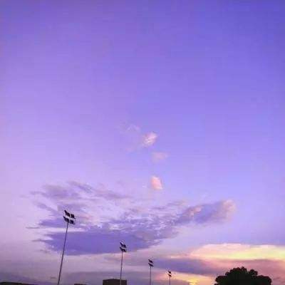 亚新下载手机版