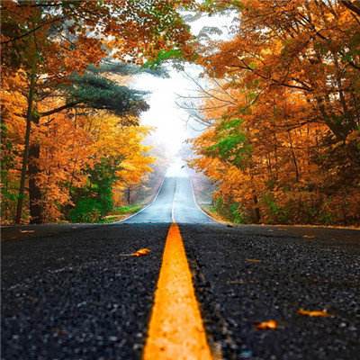 49图库资料免费大全资料澳门手机app下载