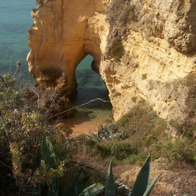 火狐体育APPapp下载