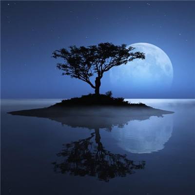 江南官方网站下载app下载