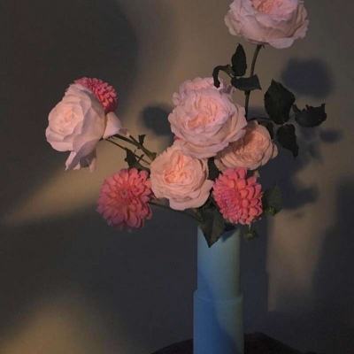 竞彩足球app手机app下载