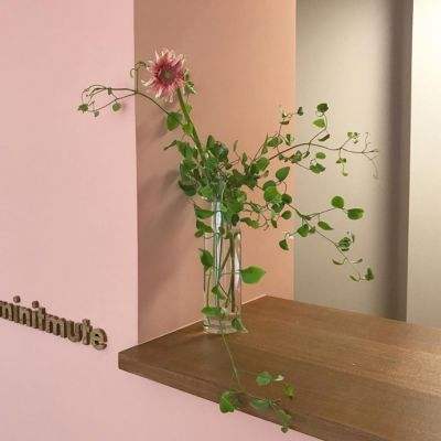 AOA体育下载手机版