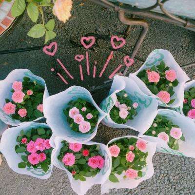 ag亚洲游戏国际平台