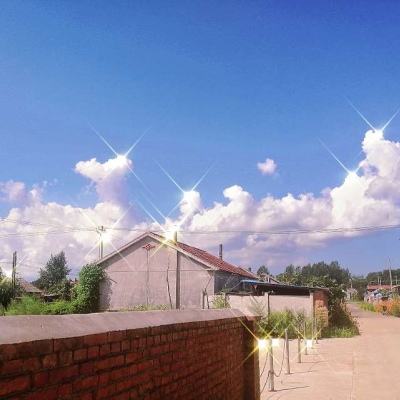 BOB最新版本下载