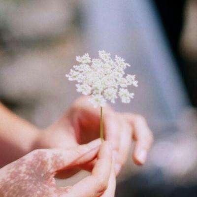 半岛网页版下载手机版