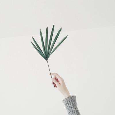 爱游戏官方下载手机版