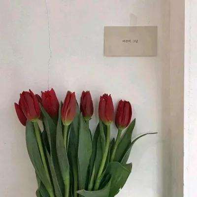 彩神lllv入口手机app下载