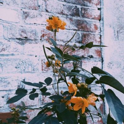 皇冠体育下裁截图