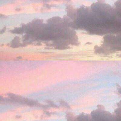 BSportAPP在线登录截图