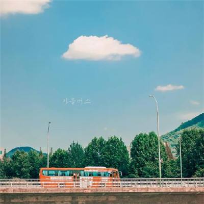 kok最新客户端下载手机版