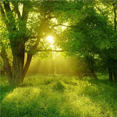 IM体育官网登录入口