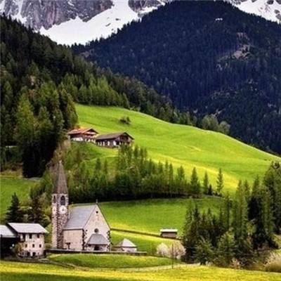 炸金花网络游戏