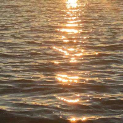 AG大厅网址手机app下载