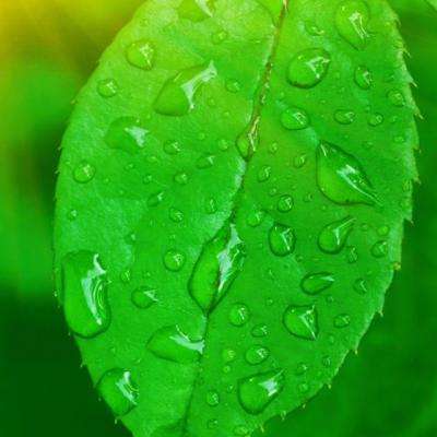 开运·kaiyun手机app下载